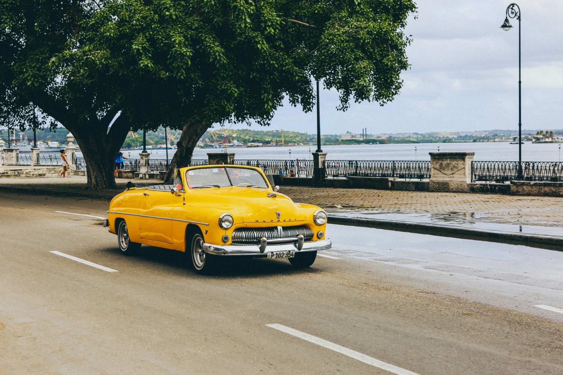 Yellow taxis

