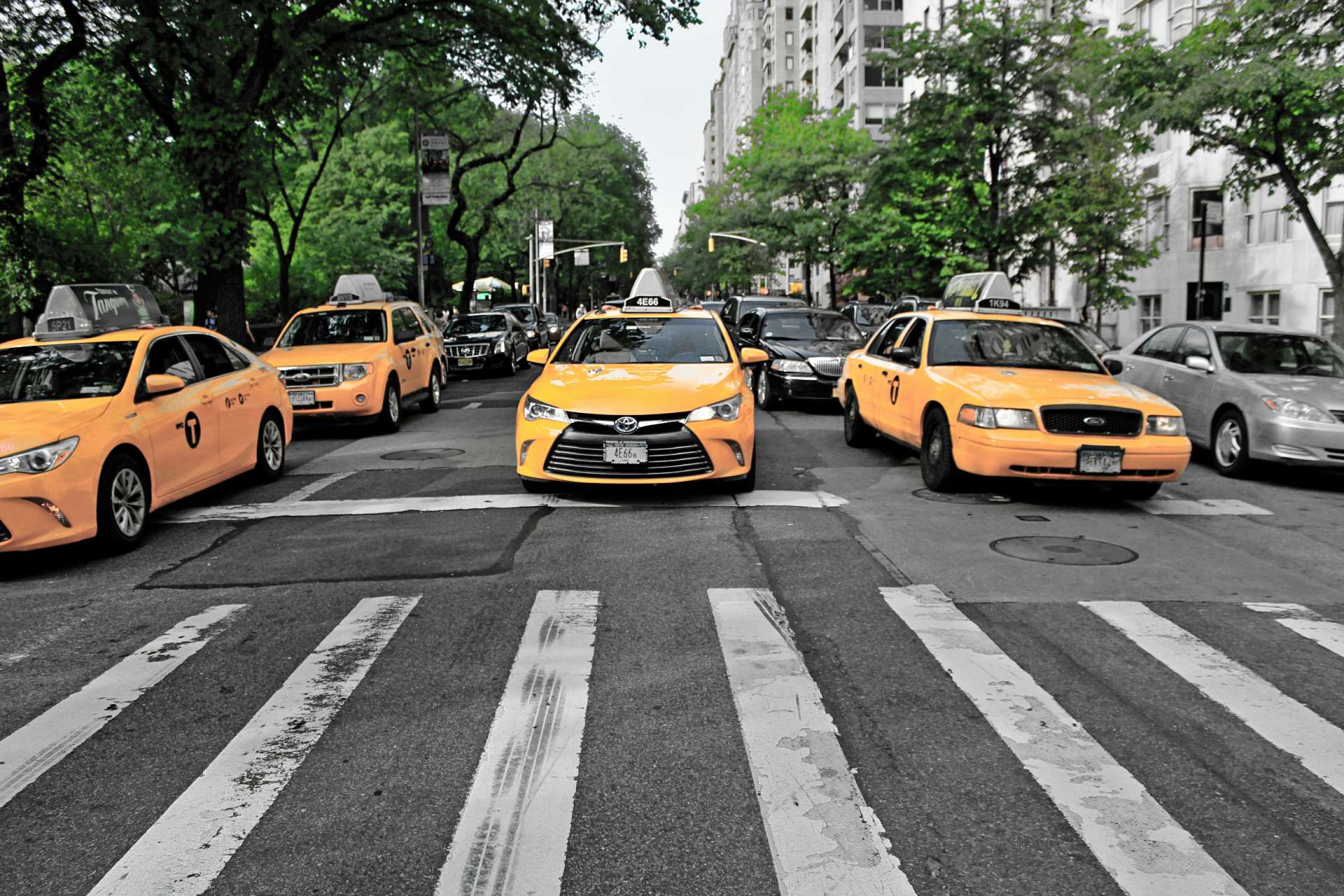 Yellow taxis in busy street

